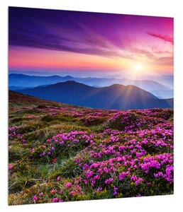 Obraz horské rozkvetlé krajiny (40x40 cm)