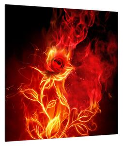 Obraz růže v ohni (40x40 cm)