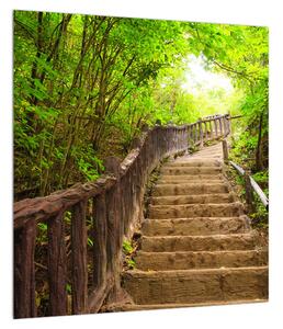 Letní obraz schodů v přírodě (40x40 cm)