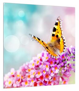 Obraz motýla na květech (40x40 cm)