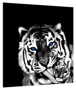 Obraz tygra s mládětem (40x40 cm)