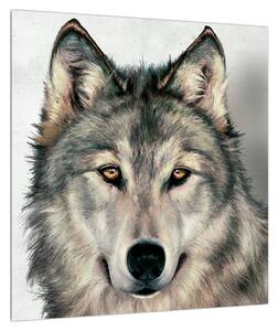 Obraz vlka (40x40 cm)