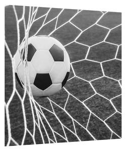 Fotbalový míč v síti (40x40 cm)