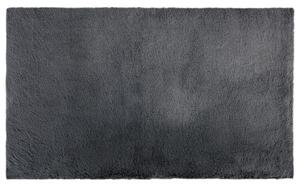 LIVARNO home Koupelnová předložka, 60 x 100 cm (tmavě šedá) (100373653002)