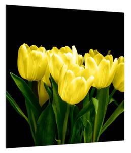 Obraz žlutých tulipánů (40x40 cm)