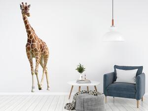 Žirafa 34 x 100 cm