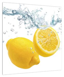 Obraz citrónů (50x50 cm)