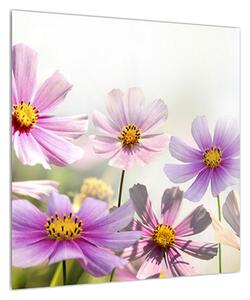 Obraz květů (50x50 cm)