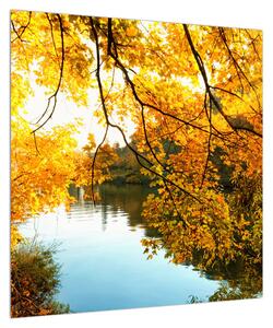 Podzimní obraz stromu (50x50 cm)