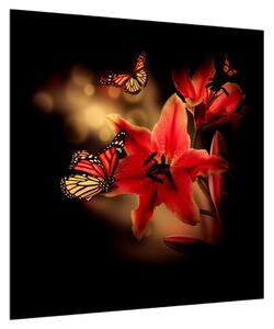 Obraz lilie s motýlem (50x50 cm)