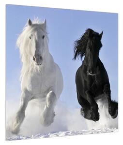 Obraz koní (50x50 cm)