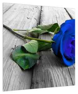 Obraz modré růže (50x50 cm)