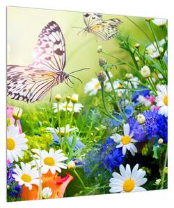 Obraz letních květů s motýlem (50x50 cm)