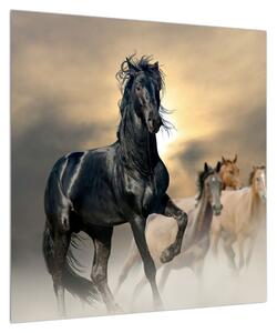 Obraz koně (50x50 cm)