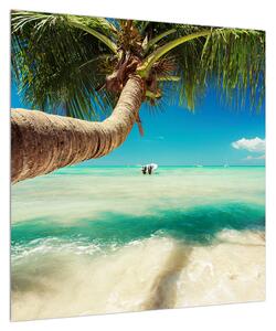 Obraz čistého moře s palmou (50x50 cm)
