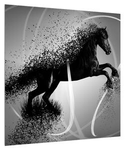 Moderní obraz koně (50x50 cm)