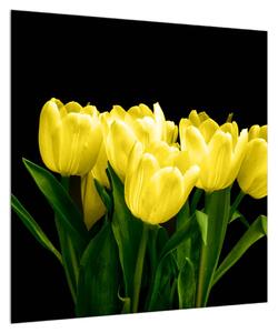 Obraz žlutých tulipánů (50x50 cm)