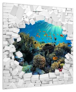 Obraz podmořského světa (50x50 cm)