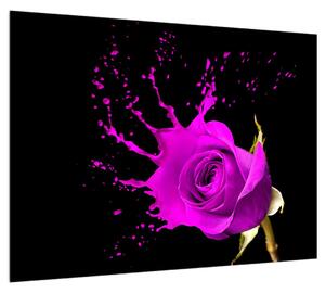 Obraz fialové růže (70x50 cm)