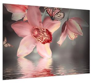 Obraz květů a motýla (70x50 cm)