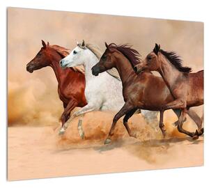 Obraz koní (70x50 cm)