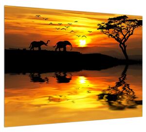 Obraz africké krajiny se slonem (70x50 cm)