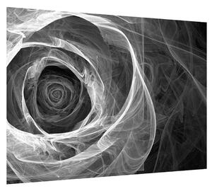 Černobílý obraz abstraktní růže (70x50 cm)