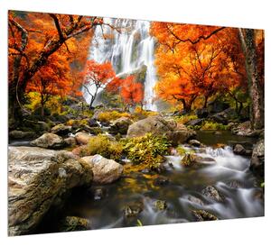 Obraz podzimní krajiny (70x50 cm)