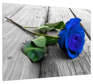 Obraz modré růže (70x50 cm)
