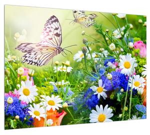 Obraz letních květů s motýlem (70x50 cm)