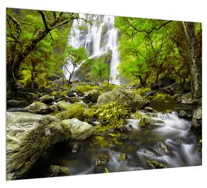 Obraz lesní krajiny s potokem (70x50 cm)