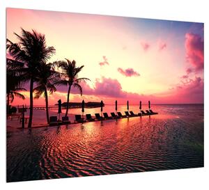 Obraz pláže s palmami a sluncem (70x50 cm)