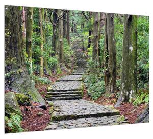 Obraz kamenných schodů v lese (70x50 cm)