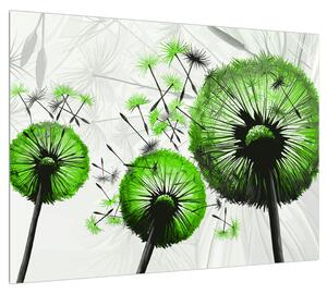 Obraz chmýří zelených pampelišek (70x50 cm)