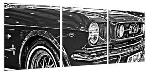 Detailní obraz auta (90x30 cm)