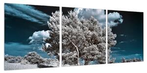 Obraz sněhobílého stromu (90x30 cm)