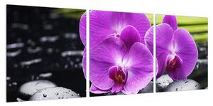 Obraz orchidejí (90x30 cm)