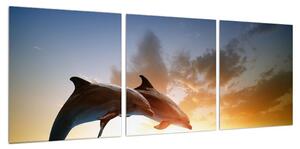 Obraz delfínů (90x30 cm)
