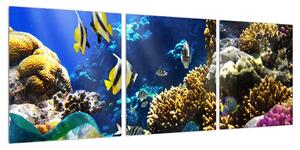 Obraz podmořského světa (90x30 cm)