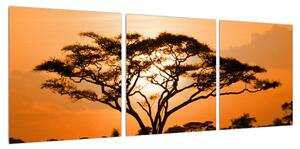 Obraz africké savany (90x30 cm)