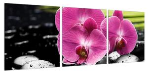 Obraz květů orchideje (90x30 cm)