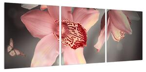 Obraz květů a motýla (90x30 cm)