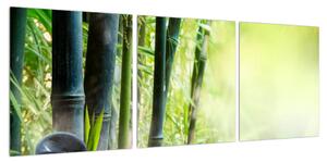 Obrázek lotusu, bambusu a svíčky (90x30 cm)