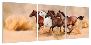Obraz koní (90x30 cm)