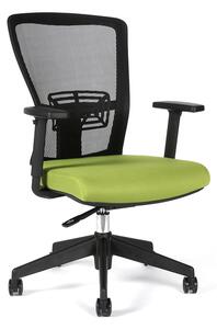 Kancelářská židle THEMIS BP (více barev) Zelená