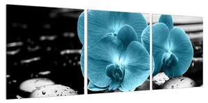 Obraz modrých květů orchideje (90x30 cm)