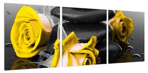 Obraz žlutých růží (90x30 cm)