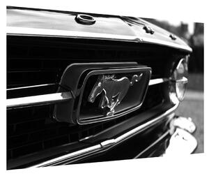 Detailní obraz automobilu značky Mustang (90x60 cm)