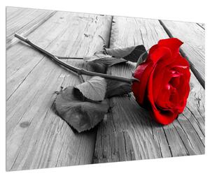 Obraz rudé růže (90x60 cm)