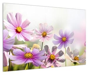 Obraz květů (90x60 cm)
